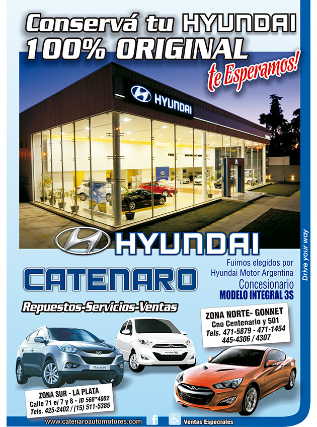 Repuestos y Servicios Hyundai Original
