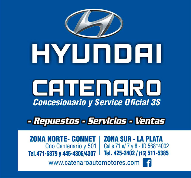 Service Oficial Hyundai Catenaro