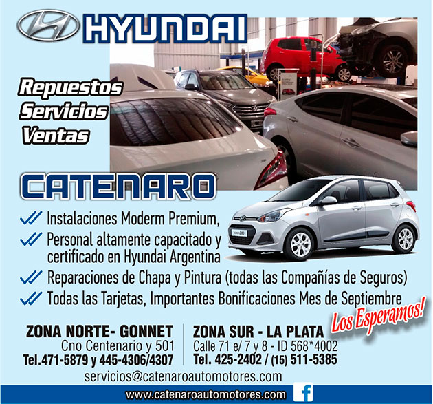 Service Oficial Hyundai Catenaro